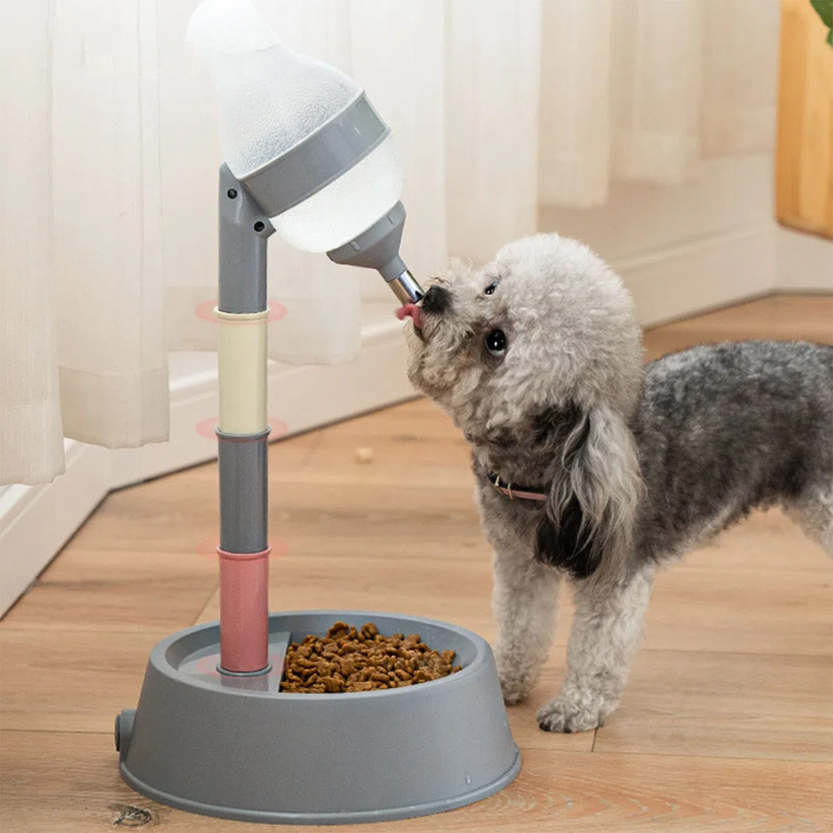 Dispenser di Acqua in Piedi per Animali Domestici, Alimentatore per Cibo per Cani e Distributore d'Acqua, con Asta Staccabile, Regolabile in Altezza, per l'Alimentazione Automatica (Grigio Scuro)