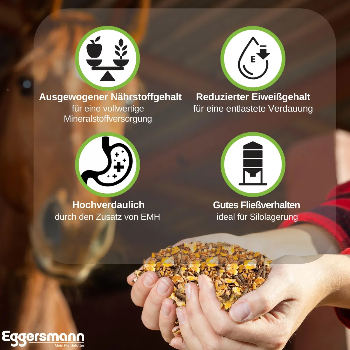 Mangime completo di alta qualità, il müsli ideale per l'immagazzinamento del silo, Eggersmann EMH F müsli per cavalli, confezione da 1 (1 x 25 kg)