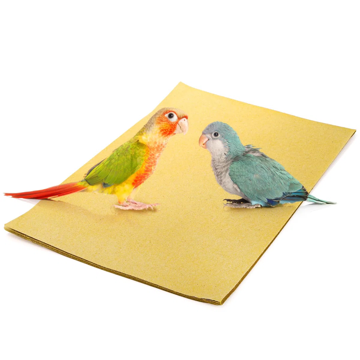 Okllen 50 Fogli di Carta per Gabbie per Uccelli, 27,9 x 43,2 cm, Accessori per la lettiera degli Animali Domestici, Carta vetrata per Gabbia di pappagalli