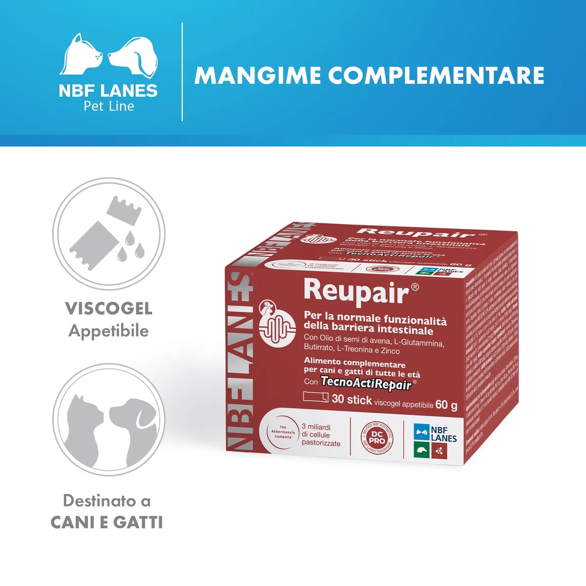 NBF LANES | Reupair Cane e Gatto, Viscogel 30 Stick da 2g (60 g), Per la Normale Funzionalità Barriera Intestinale