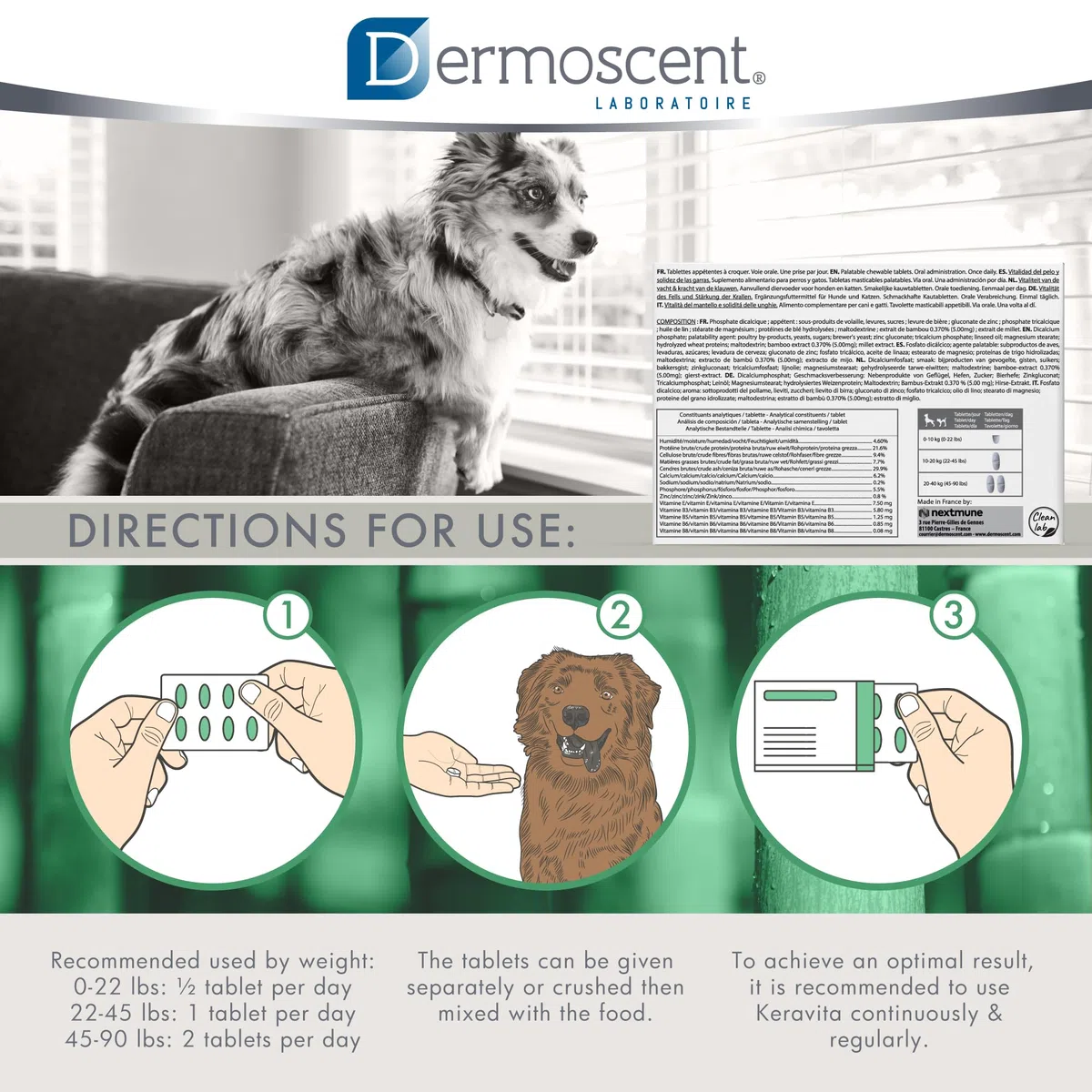 Dermoscent Integratore per Cani e Gatti - 40.5 Gr