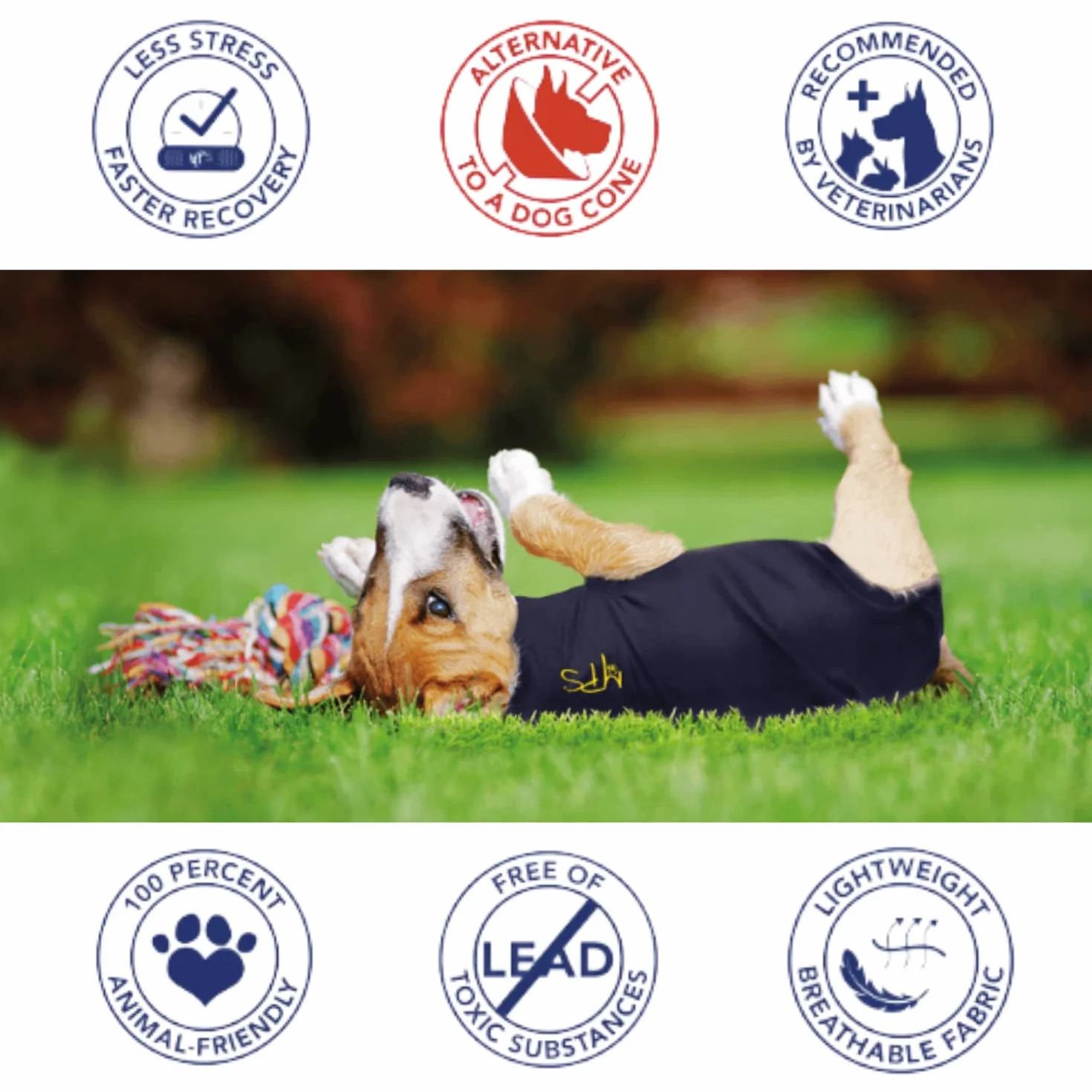MPS Medical Pet Shirt, Head Cover, Cane, M