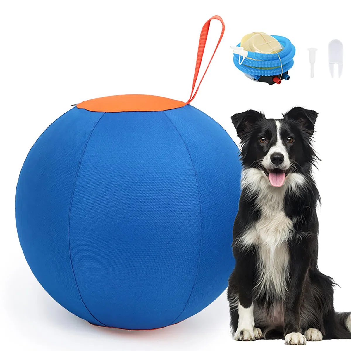 Palla da pastore per Border Collies – Herding Ball | Palla da pastore per cani | Palline grandi per cuccioli di animali domestici per esterni | Giocattolo multiuso blu per cuccioli di cane |