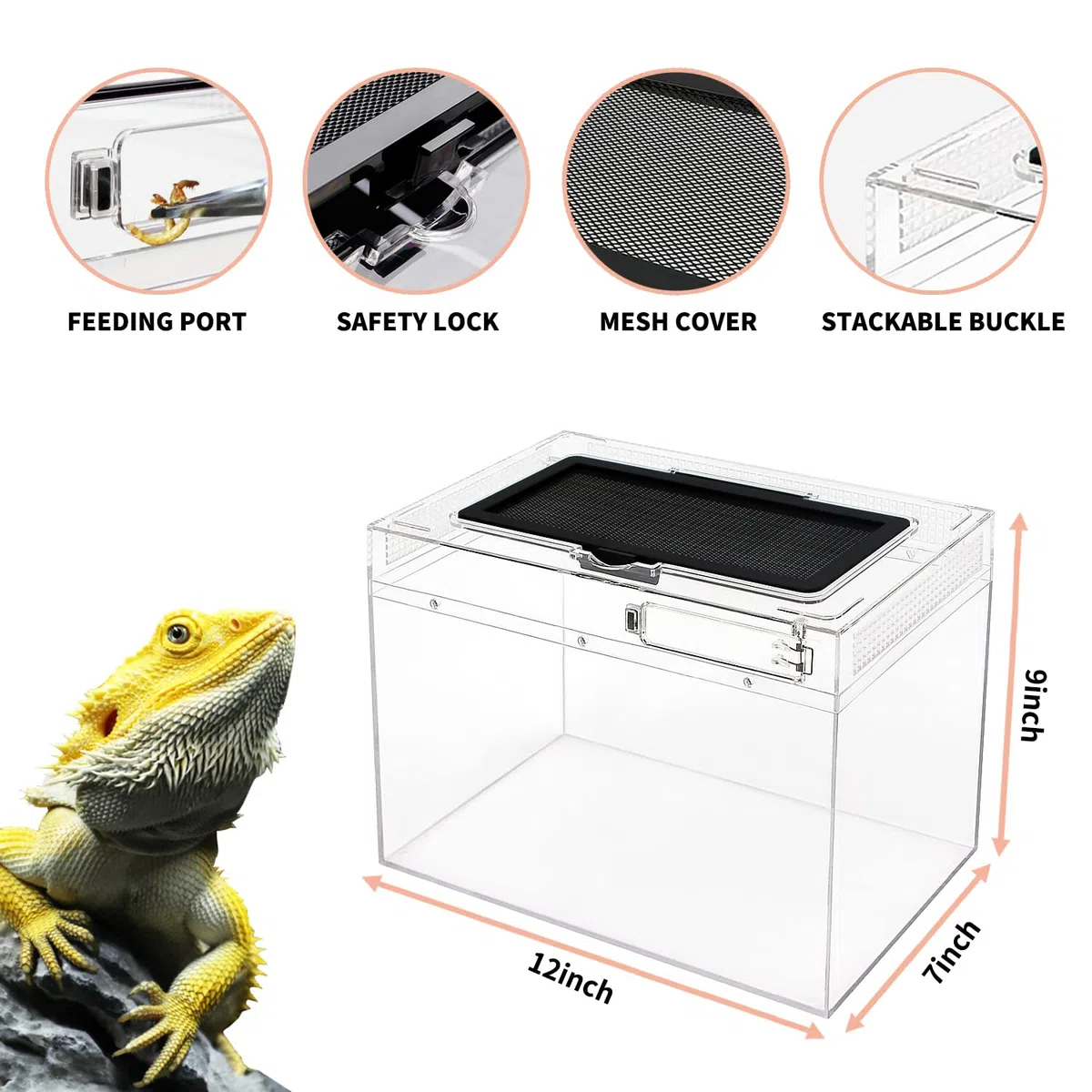 Terrario Kit PC Reptile Growth 12" x 7" x 9", visivamente accattivante terrario rettili per Geco leopardino, Drago barbuto, Ragno, lumaca, insetto, tarantola, serpente