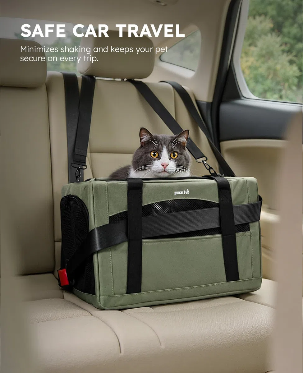 Pecute Trasportino Gatto, Stabile Zaino per Gatti, Traspirante e Portatile Trasportino per Cani, per Gatti Sotto i 5KG, Adatto per Viaggi e Gite, Verde
