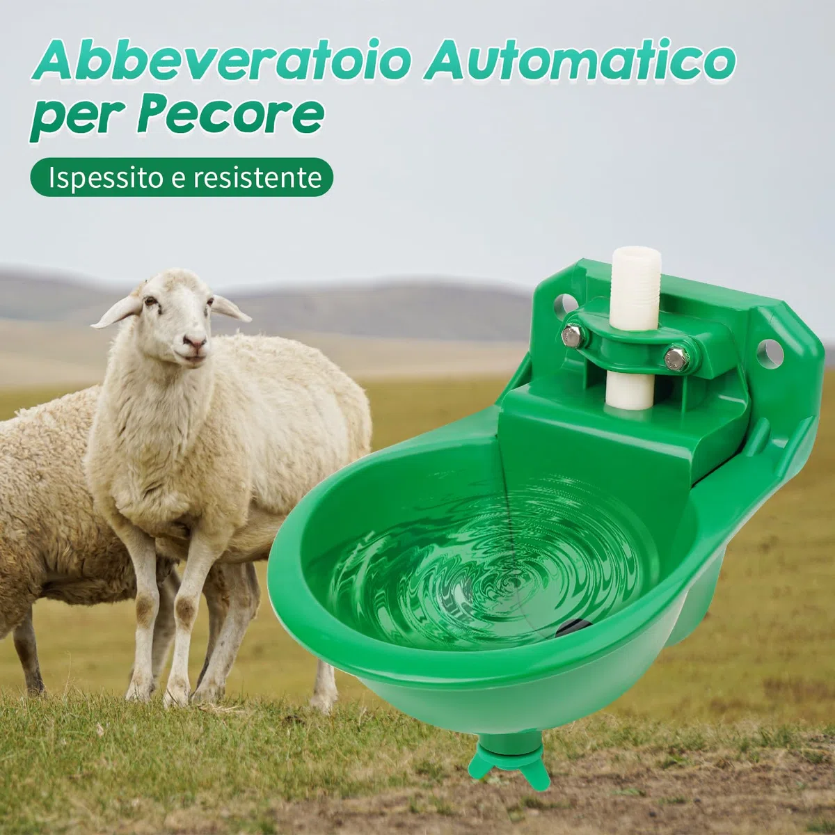 Abbeveratoi Automatici per Pecore, Capre, Cavalli e Mangiatoie per Pascoli di Bestiame con Fori di Drenaggio