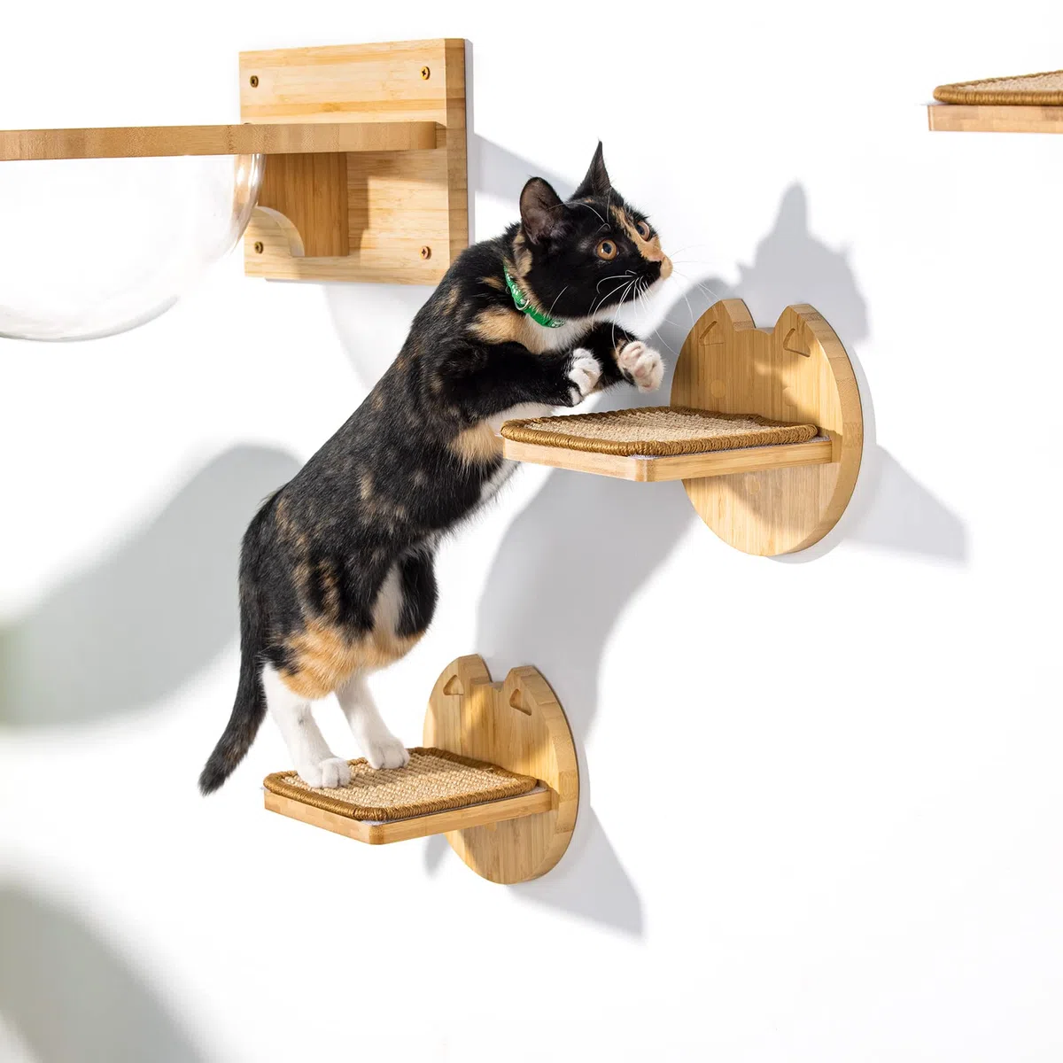 Yangbaga Set di 3 Scale per Gatti - Parete di Arrampicata Con Gradini 18x16 cm in Beige - Passerella e Scala per Gatti