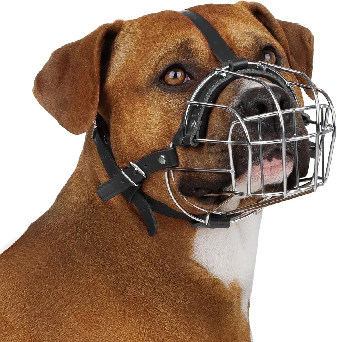 BRONZEDOG Museruola per cani in metallo, maschera per cani di taglia media e grande (taglia 4: Pitbull & Amstaff)