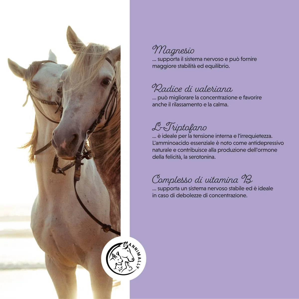 Annimally Liquido di Agnocasto per Cavalli 1000ml con Ashwagandha, Magnesio e Radice di Liquirizia – Per l'irrequietezza ormonale o il comportamento da calore nel cavallo