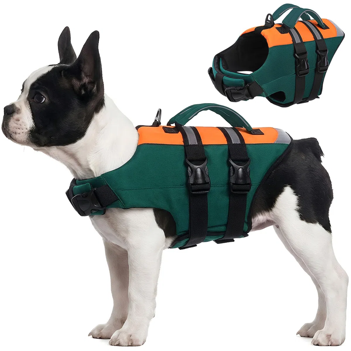 CITÉTOILE Giubbotto Salvagente per Cani a Doppia Maniglia - Giubbotto Galleggiante Riflettente con Maniglie Rinforzate e Cinture Regolabili per Nuoto, Barca, Spiaggia, Verde, L