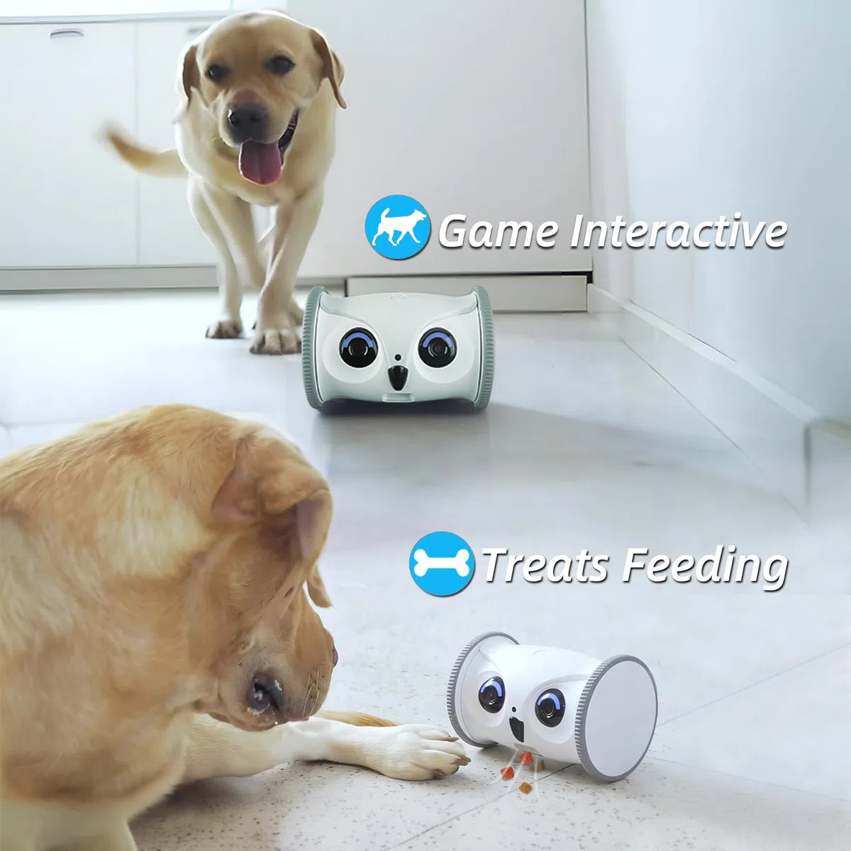 SKYMEE Owl Robot: fotocamera Full HD per animali domestici 1080P con distributore di caramelle, giocattolo interattivo per cani e gatti, monitoraggio mobile a casa completa tramite app, conversazione
