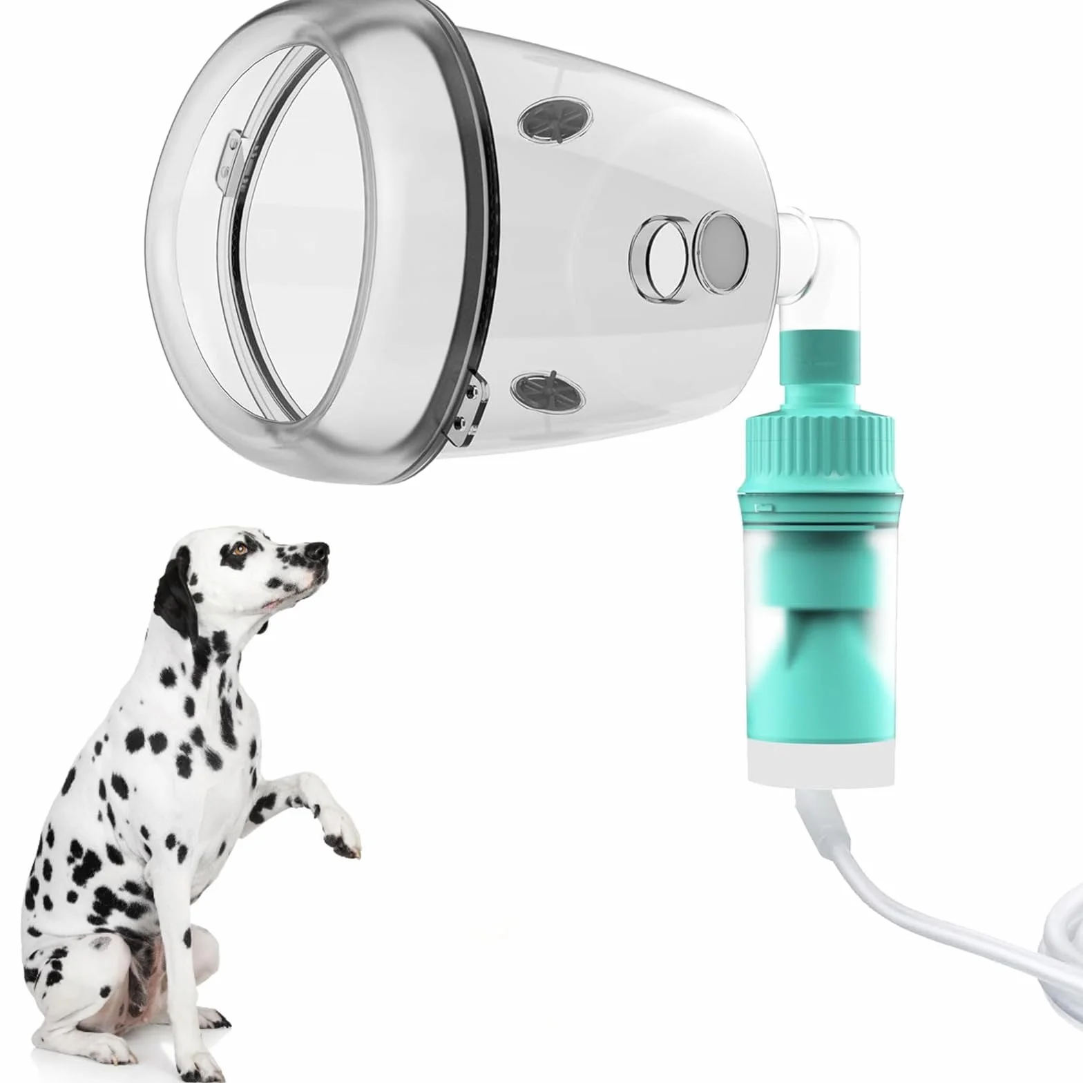 Maschera per inalazione per Cani con vaschetta nebulizzatore in Posizione sdraiata, Maschera per Ossigeno per Cani di Grossa Taglia (Dispositivo Separato) (L)