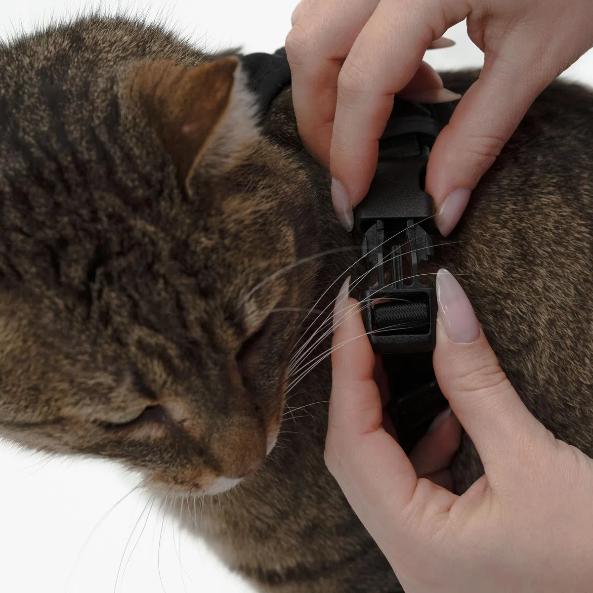 LucyBalu® Explorer Pettorina con guinzaglio e scomparto AirTag I Nero