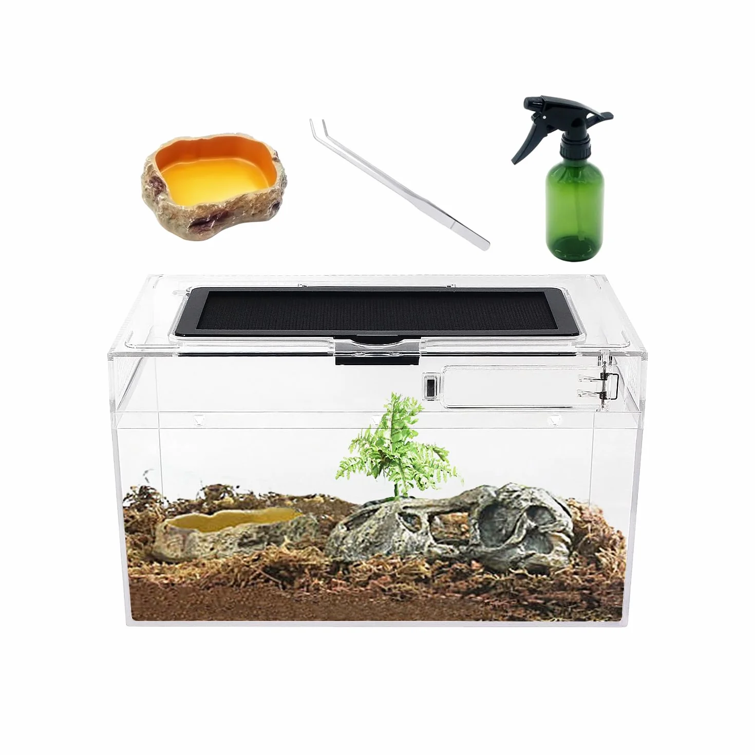 Reptile Growth Terrario Kit, 12" x 7"x 6" PC terrarium con vista completa visivamente accattivante, PC terrario rettili per Geco leopardino Drago barbuto Ragno lumaca insetto tarantola serpente