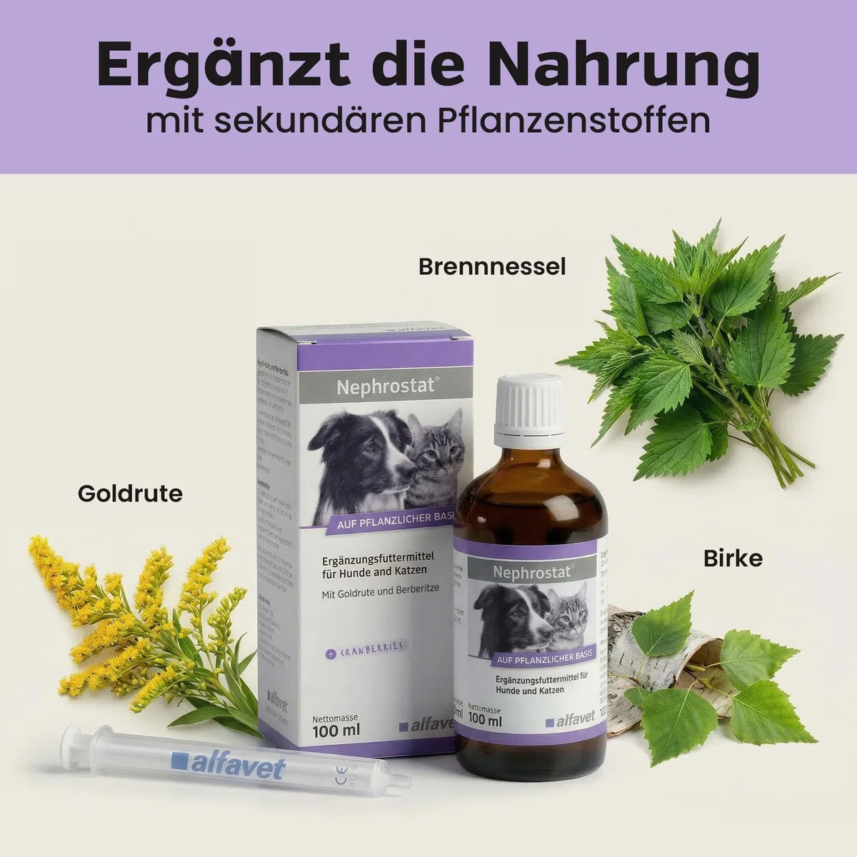 Alfavet Nephrostat (100 ml) – alimento complementare liquido per cani e gatti – supporto nutrizionale per vie urinarie e organi urinari – con verga d’oro, betulla, ortosifon e siringa dosatrice