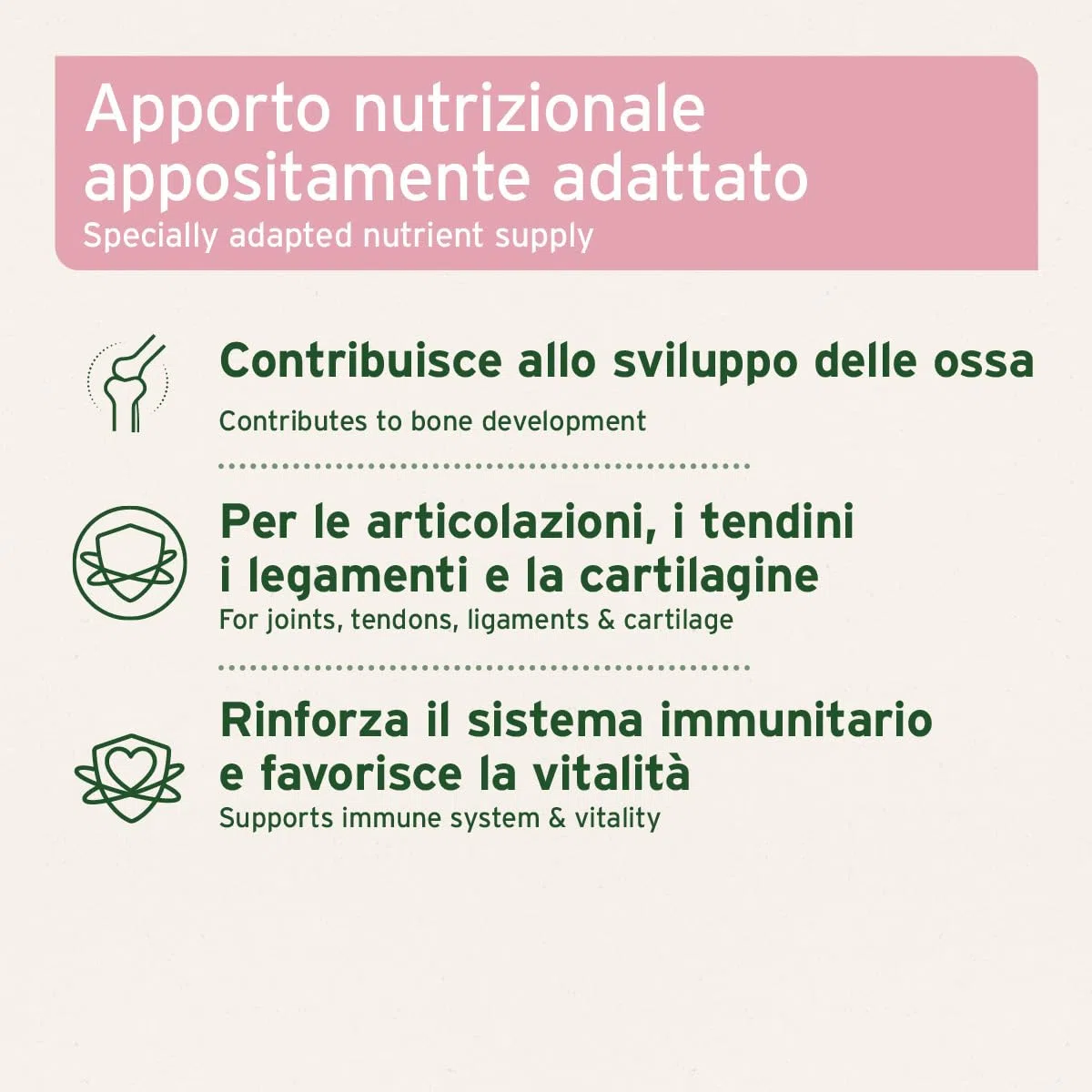 AniForte Junior Active per Cuccioli e Giovani Cani 250g - per Ossa, tendini, legamenti, Sviluppo dei Denti di Cuccioli e Giovani Cani. Integratore per Cuccioli con Calcio, vitamine e minerali
