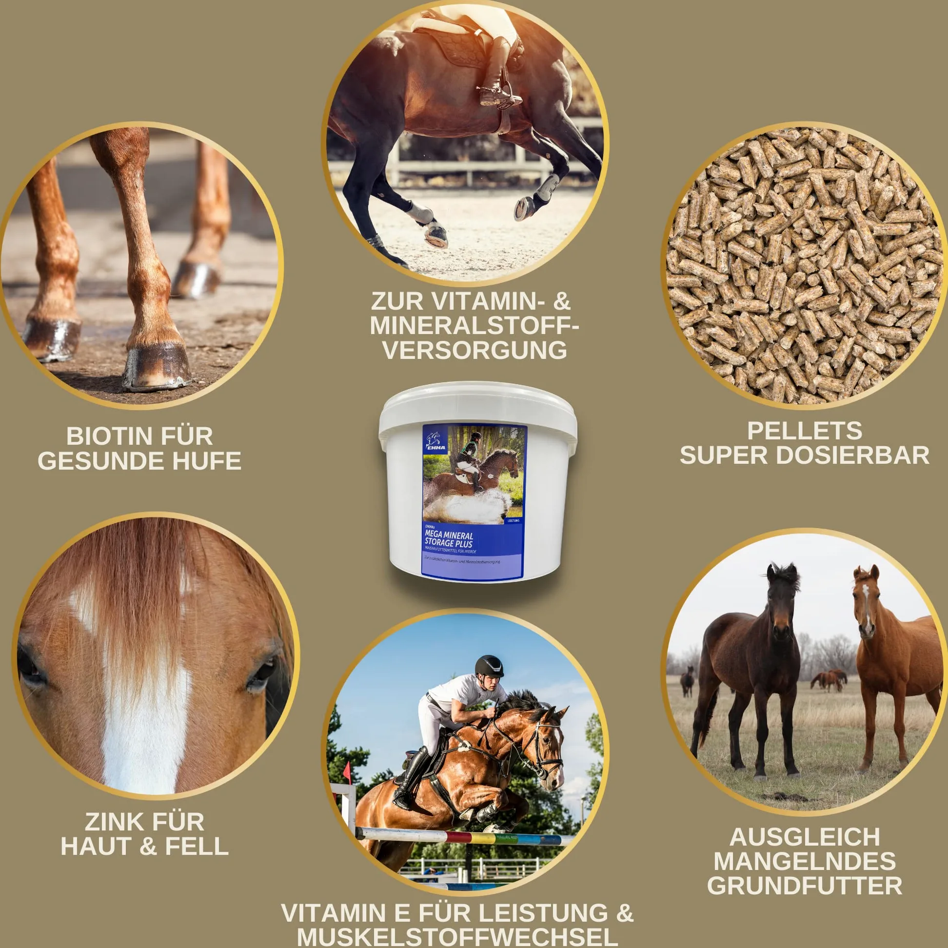 Vitamine Minerali Cavalli mangime cavalli Complesso mangimi supplementari B-vitamine e A,E,C,D, biotina, zinco, selenio, lievito di birra, crescita degli zoccoli e pelo lucido, senior 5 Kg