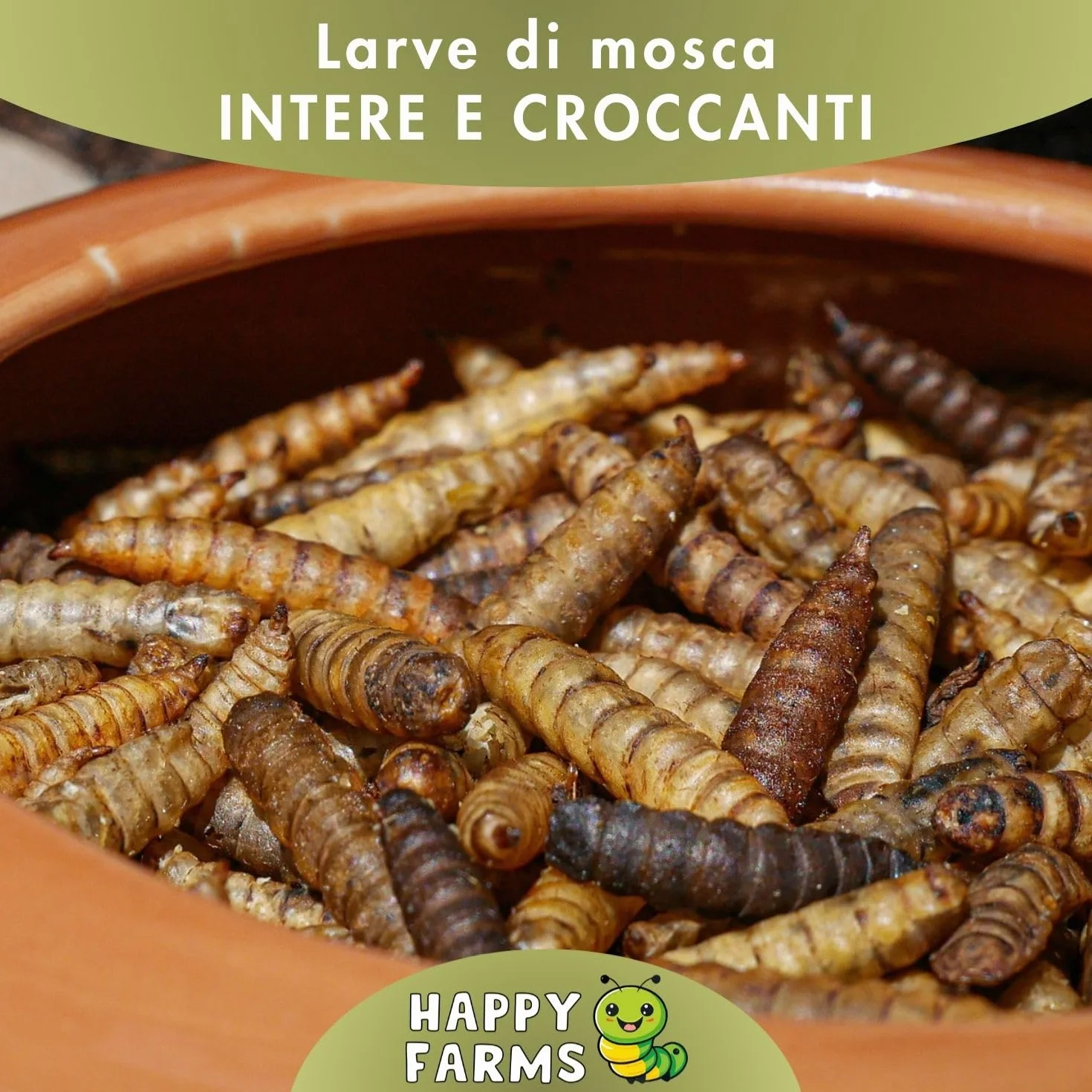 Larve di mosca soldato essiccate – Più calcio rispetto ai vermi della farina! 5 kg di cibo per insetti per uccelli selvatici, pesci e ricci