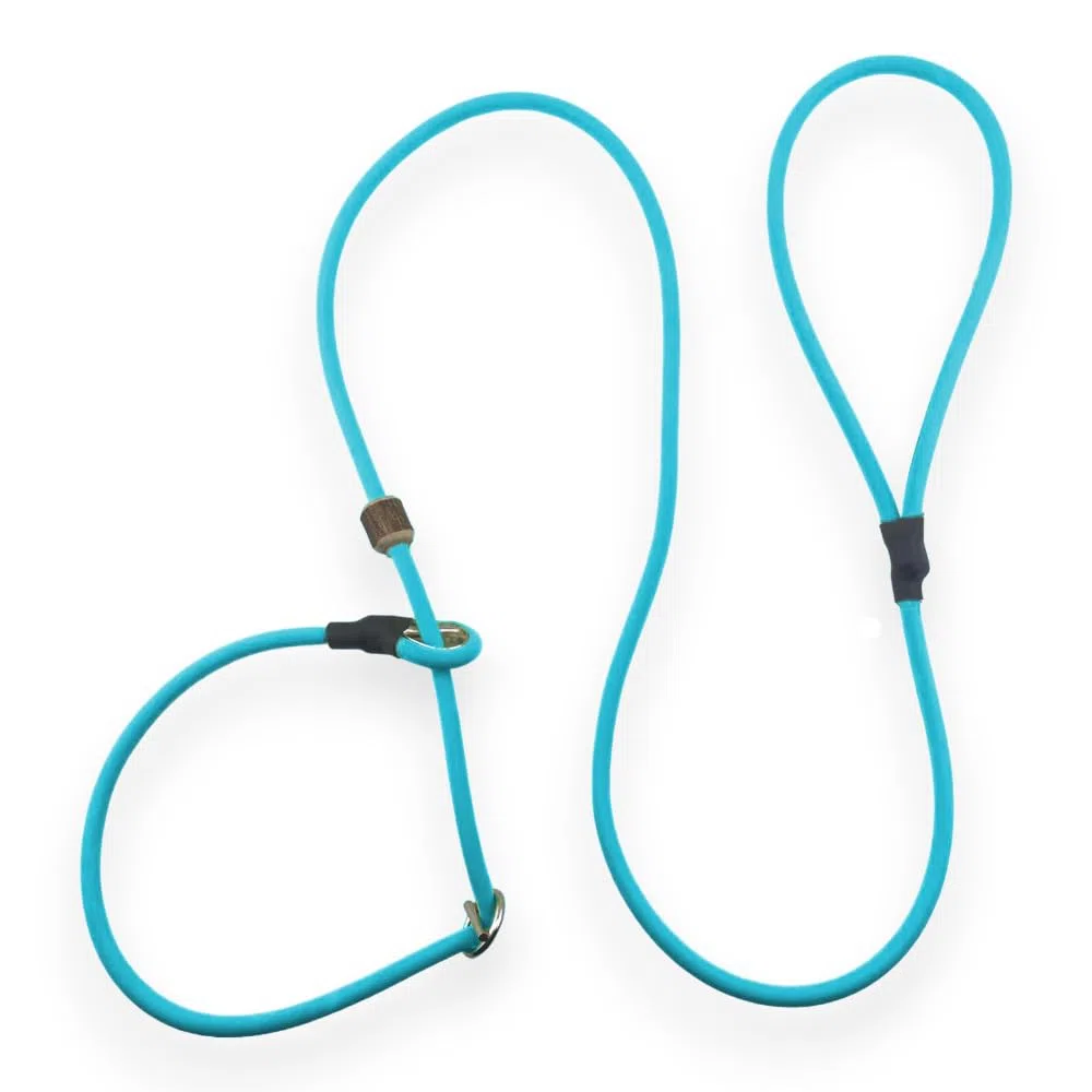 Romney's - Guinzaglio slip Biothane Neon Pro, realizzato a mano in Germania, impermeabile, regolabile, con Pull‑Stop, guinzaglio da allenamento e caccia al neon ultra resistente, 1,3 m (Neon-Aqua)