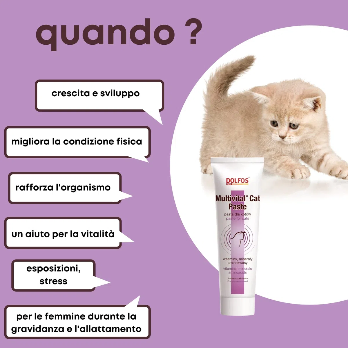 Multivital Cat Paste Multivitaminico per Gatti - Mic di Vitamine, Aminoacidi e Componenti Minerali per tutti i Gatti - Confezione 100 gr
