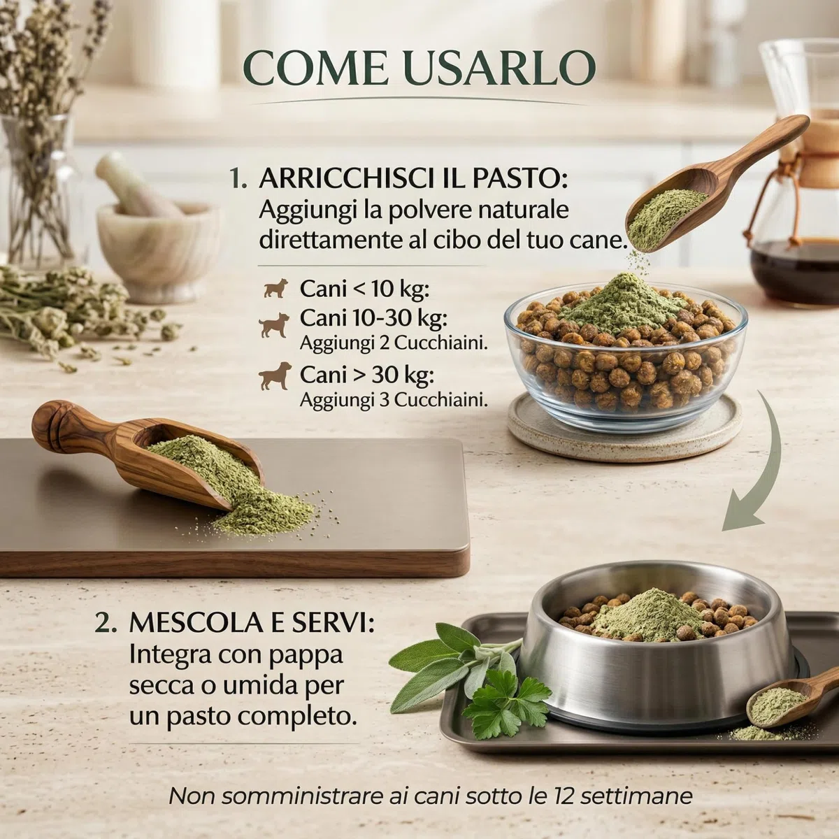 Dog Dental PRO Polvere Pulizia Denti Cane con Ascophyllum Nodosum, Spirulina e Menta Piperita, Supporta Igiene Orale Senza Spazzolino, Alito Fresco, Integratore Naturale per Cani, Marca Italiana