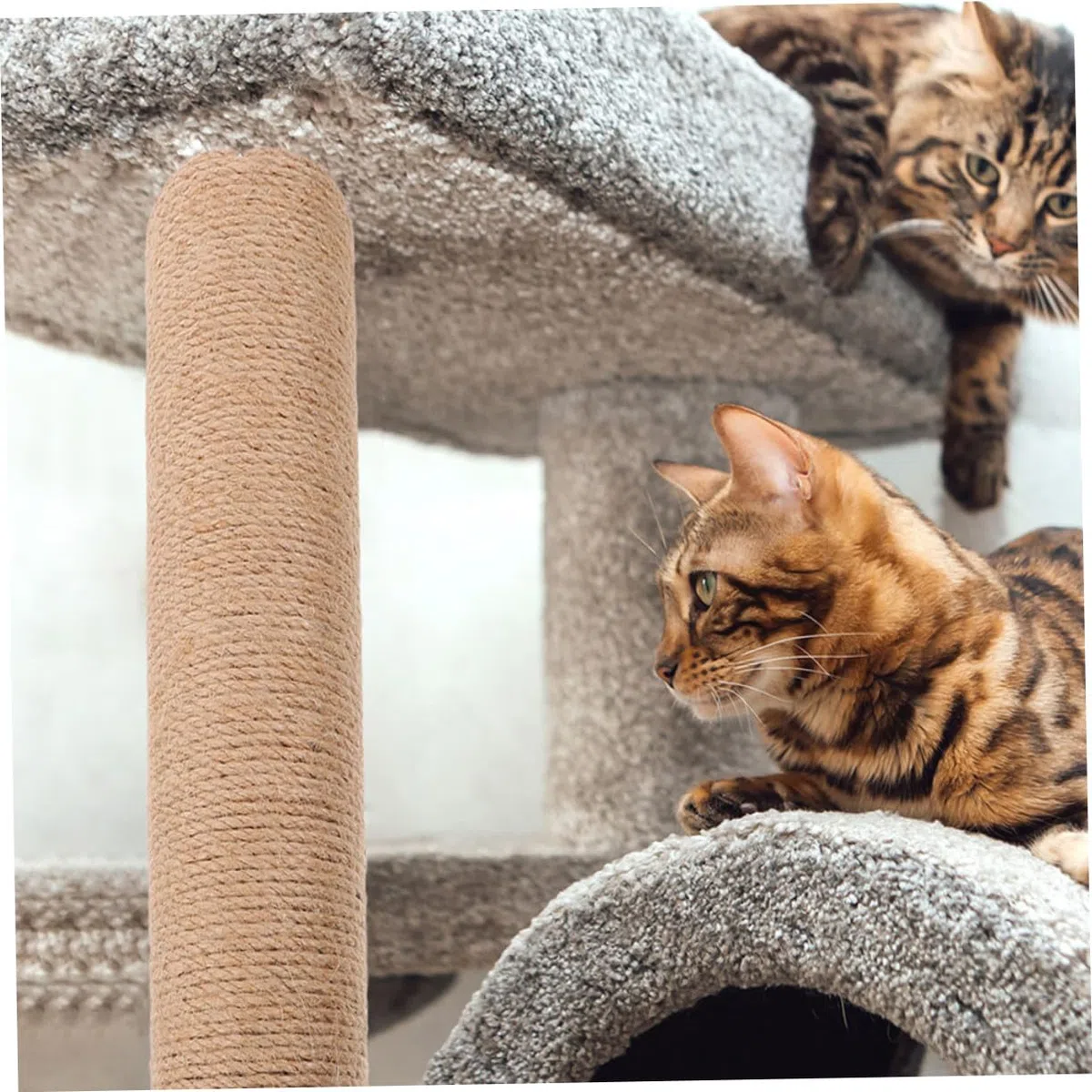 Abaodam Ricambi Tiragraffi per Gatti 2pezzi Corda di Juta, Tiragraffi Gatto Verticale Robusto e Facile da Sostituire, per Appartamenti e Piccoli Spazi