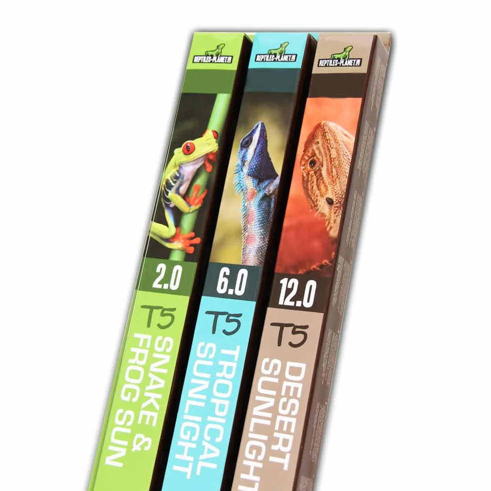 Rettili Planet T5 Tubo UVB 6.0 Tropicale Sunlight Illuminazione per Reptile/amphibien 8 W L 29 cm Diametro 16 mm