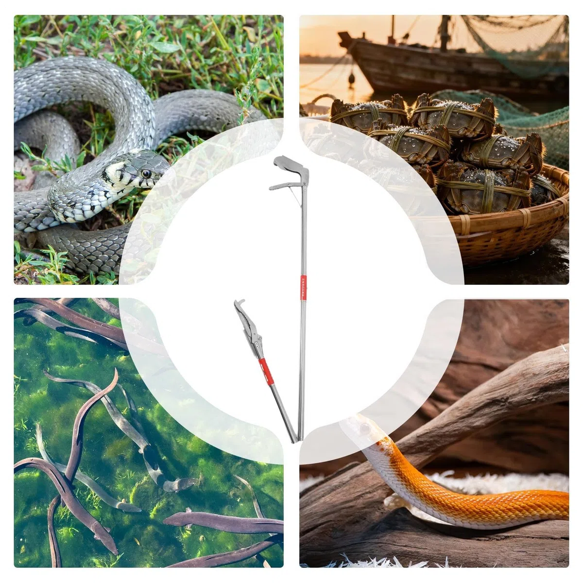 Pinze per serpenti, strumento per afferrare serpenti, in acciaio inox, pieghevole, pinza per la cattura dei granchi, strumento per afferrare i granchi, a lunga portata con impugnatura antiscivolo, per