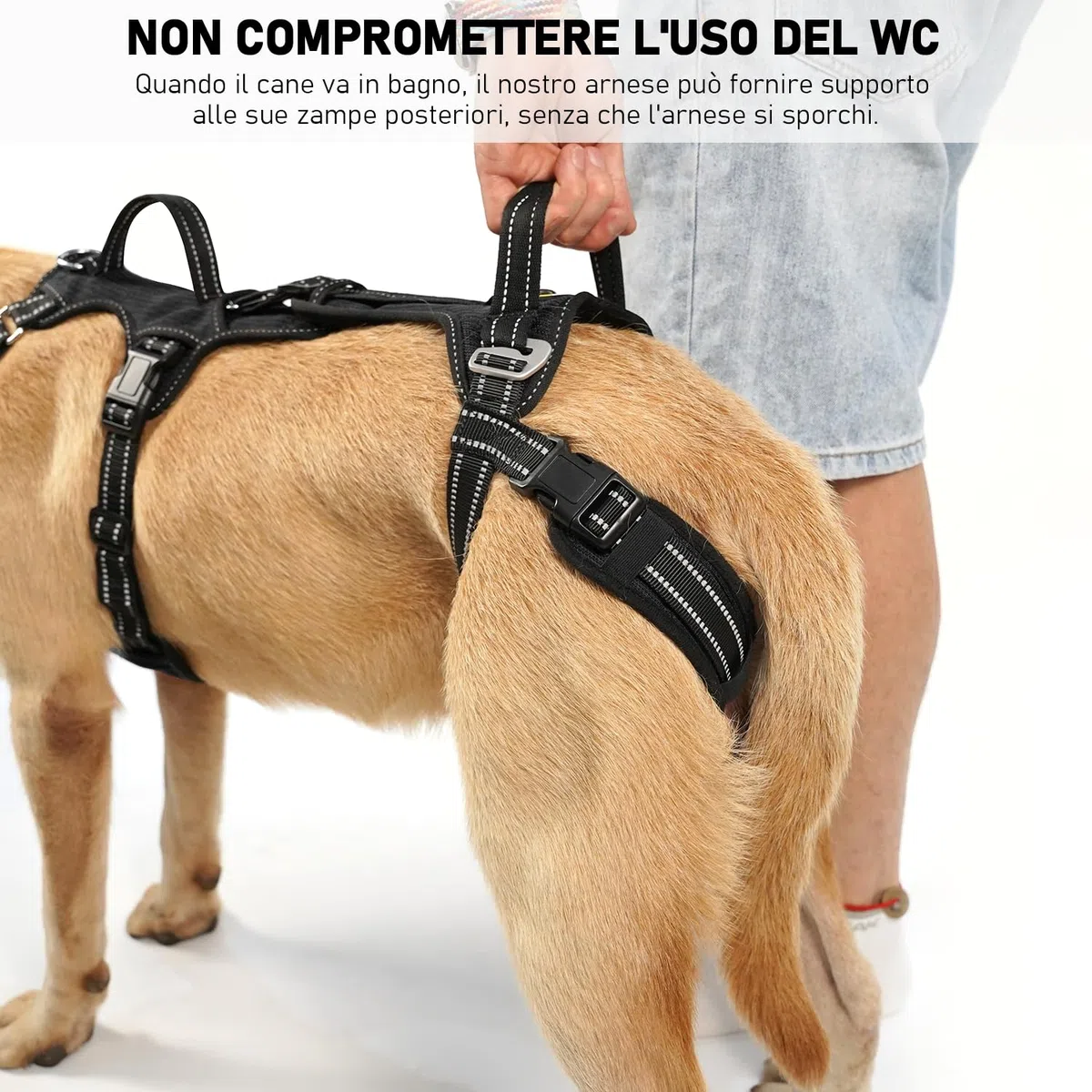 COODEO Imbracatura per Cani, Supporto e Fodera per Passeggio, Gilet di Riabilitazione per Zampe Posteriori, Trasportino per Cani Anziani con Infortuni e Artrite, Aiuto per Salire le Scale. (Nero, XL)