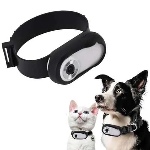 Collare per Gatti, Collare Localizzatore per Cani Grandangolare da 170°, Mini Videocamera Sportiva per Animali Domestici HD 1080P per Registrazioni Video, Videocamera per Piccoli