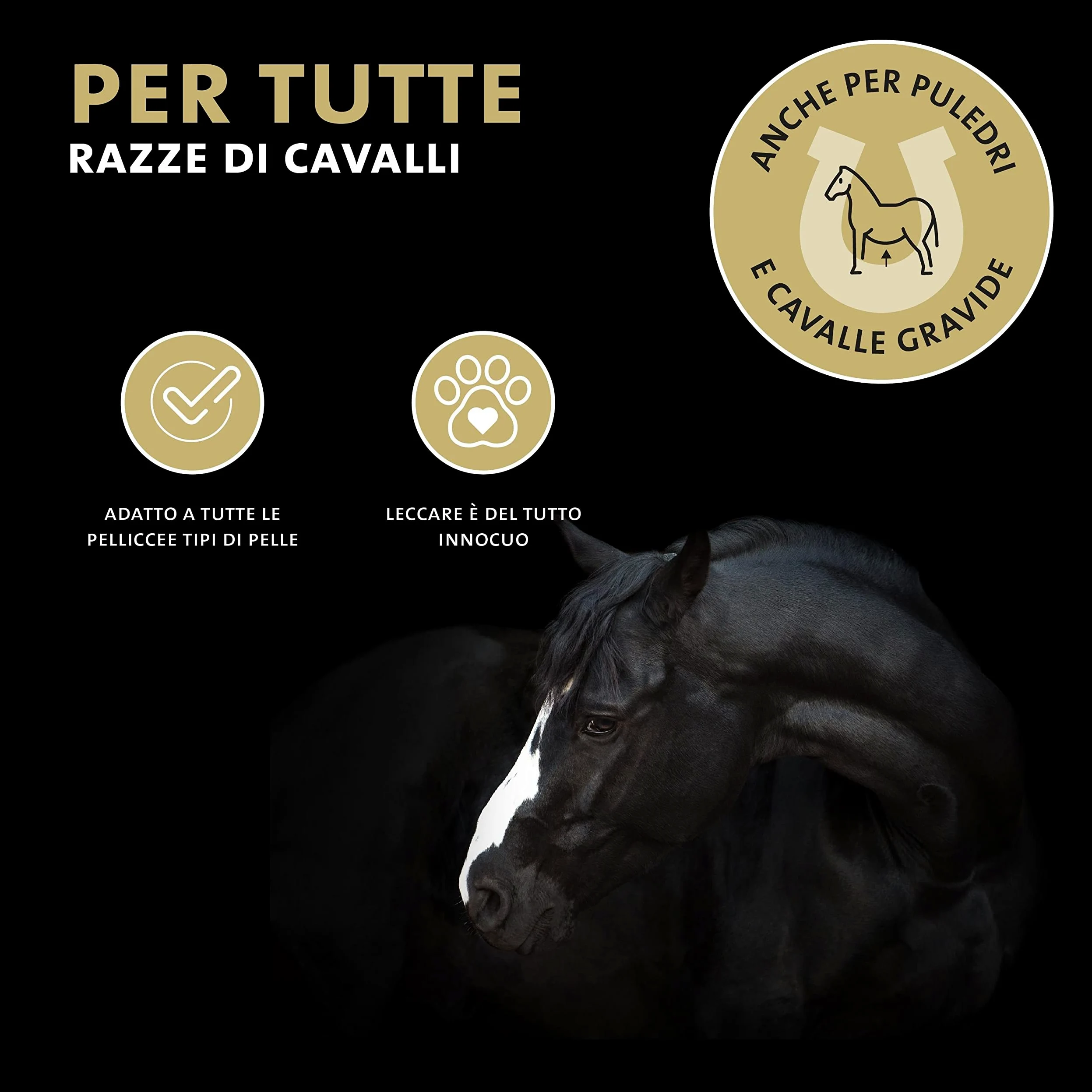 Peticare Nero Mosche Stop Cavallo Spray Anti Mosca Nera - Blocca Efficacemente, Difesa Contro Simulidi, Attivo Fino a 24 Ore, Prevenire Efficacemente Dermatite Estiva e Eczema - petAnimal Protect 2001