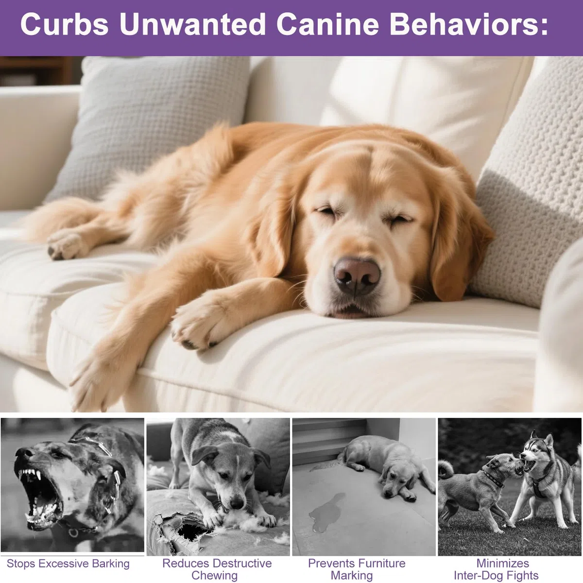 SLE Feromoni per Cani Calmante (2 Diffusore + 4 Ricaricha) Risolve i Problemi di Marcatura con L'urina, Comportamento di Abbaiare, Ricarica del Cani Diffusore del Feromone All'Ansia Rimani più Calmo