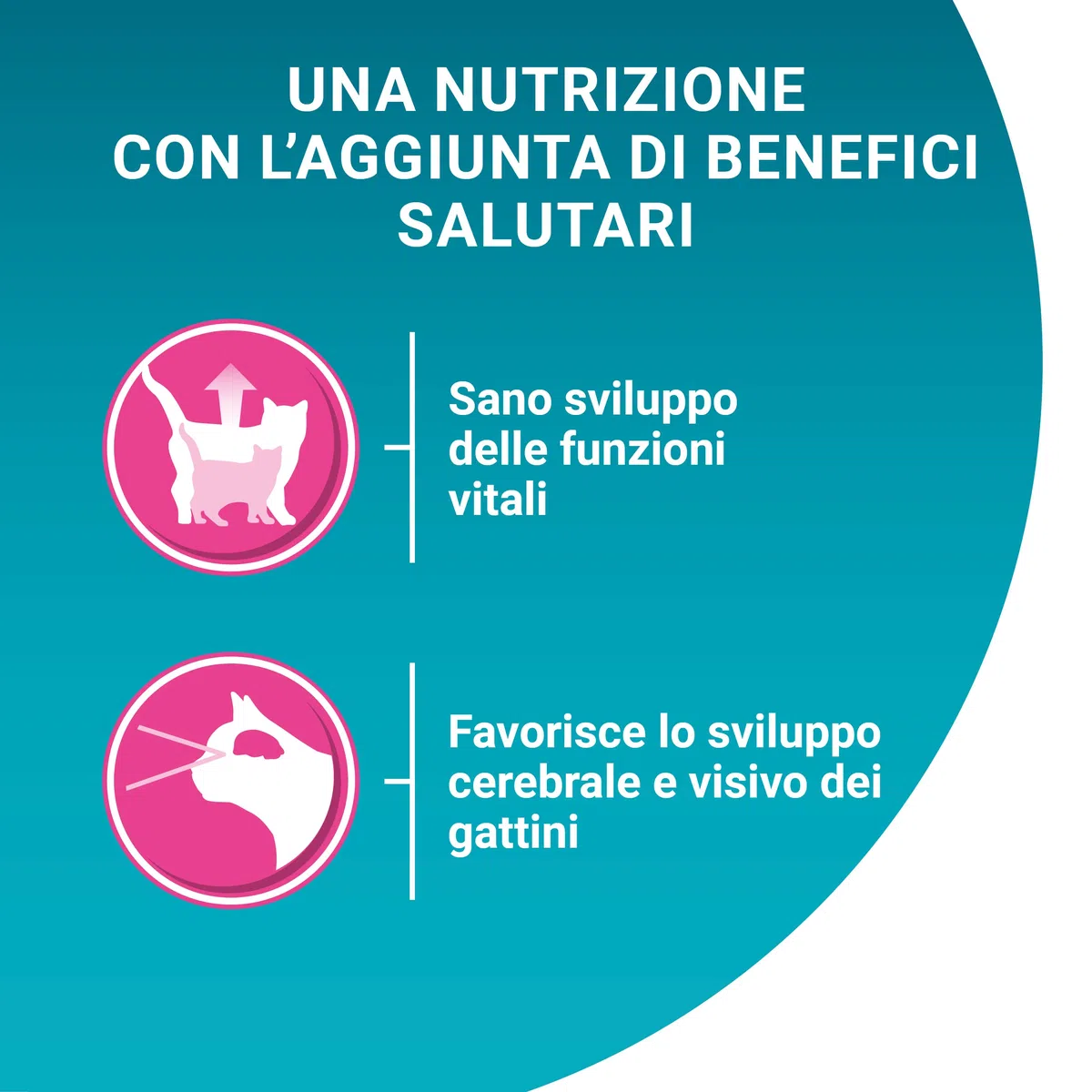 PURINA ONE Junior Cibo Umido per Gattini 1-12 Mesi Filettini con Pollo e Carote in Salsa 48 Buste da 85 g
