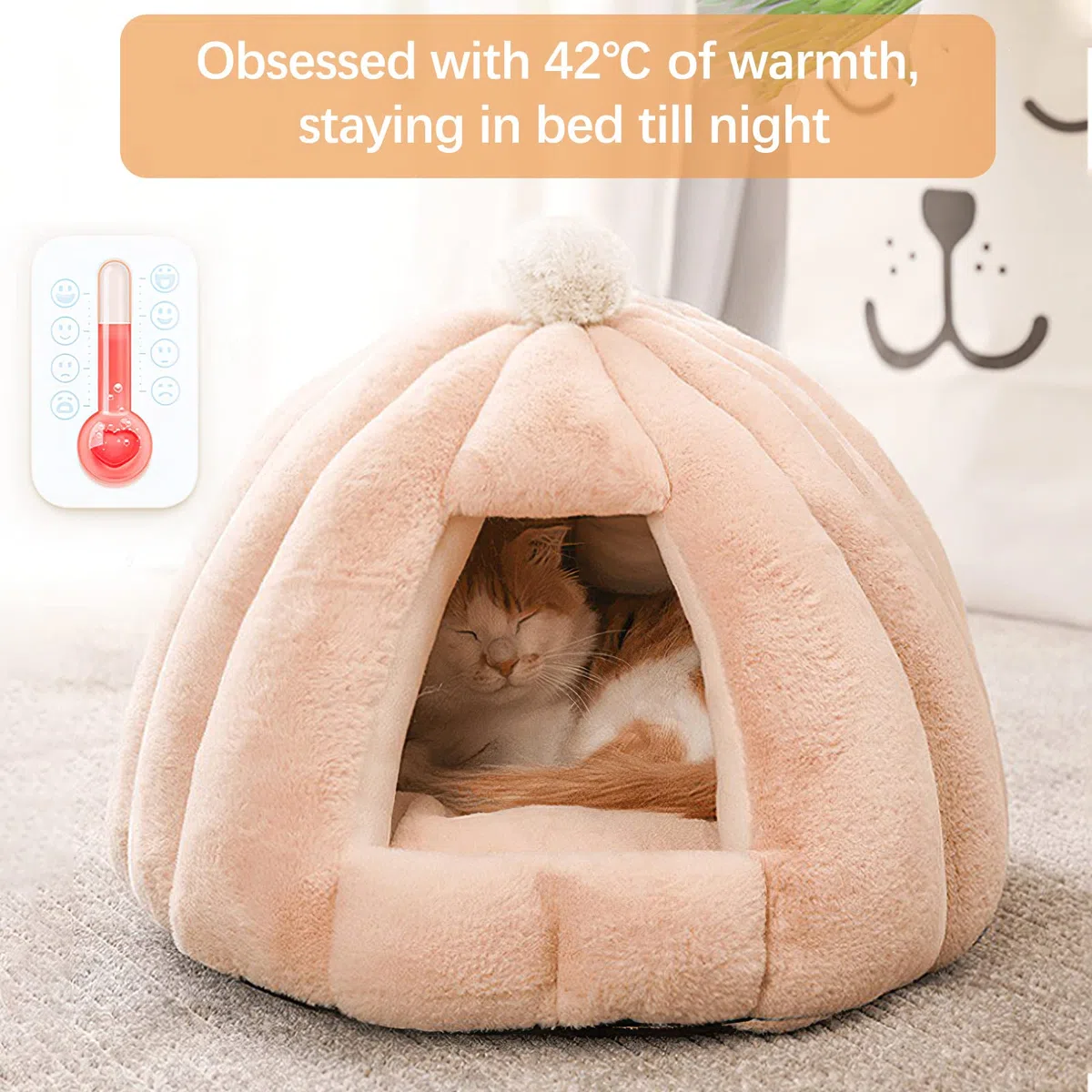 Galatée Letto Grotta Per Gatti, Letto Per Gatti Con Fondo Antiscivolo, Cuccia Per Animali Domestici Con Cuscino Interno Rimovibile e Lavabile, Morbido e Accogliente Igloo Gatto Di Peluche(S, Marrone)