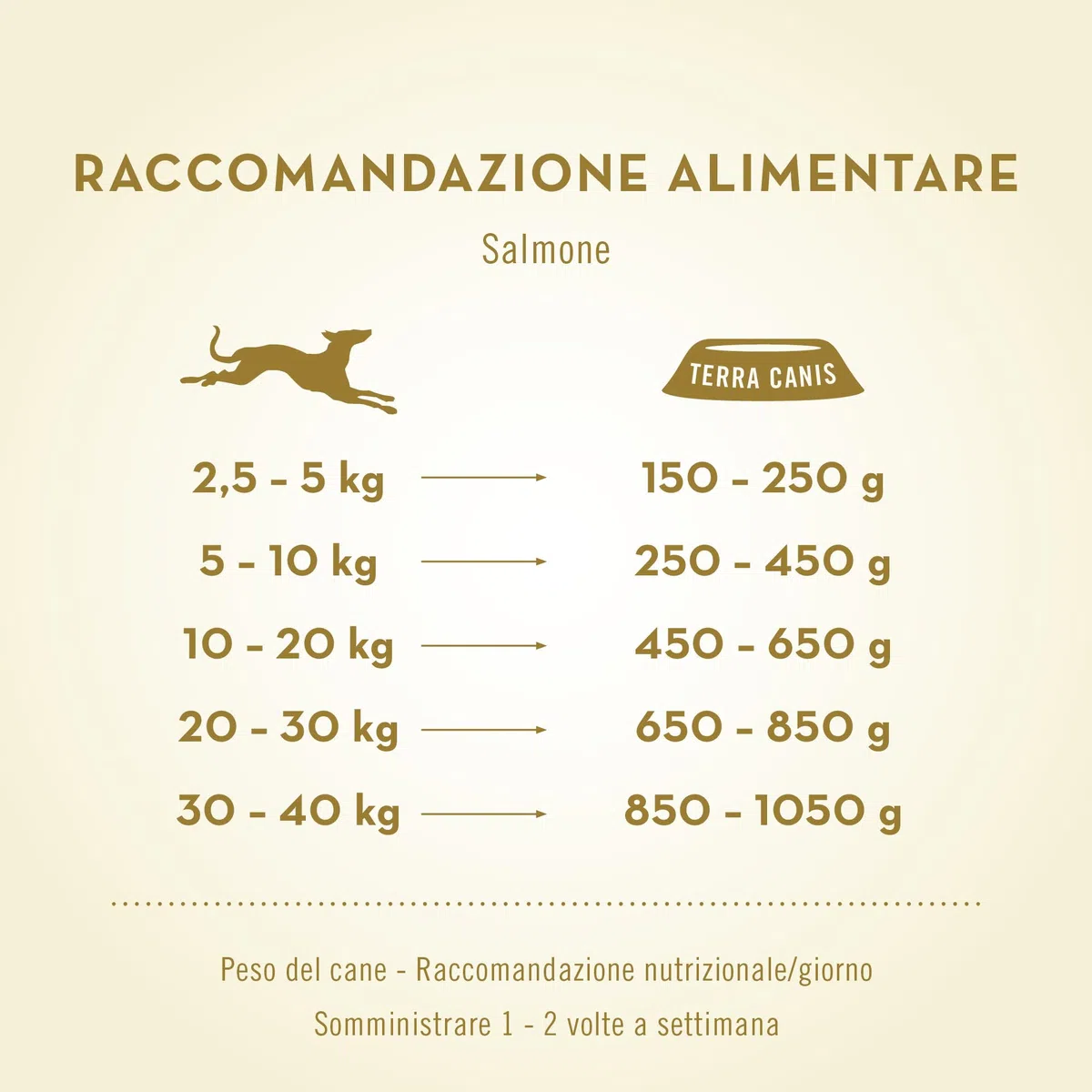 Terra Canis Manzo, carota & riso integrale - Alimento umido Classic, 12x200g I Alimento premium per cani con ingredienti di autentica qualità human-grade al 100% I gluten-free