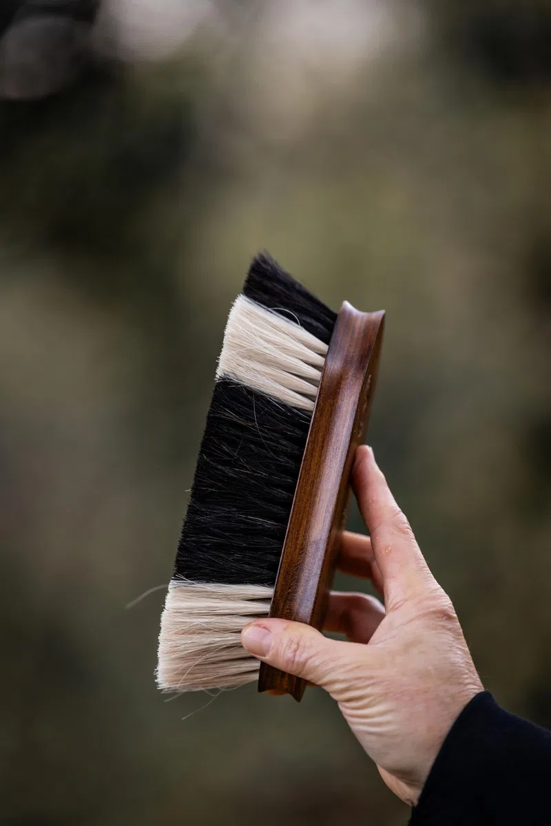Spazzola per cavalli – spazzola lucidante con setole dense in crine e manico in legno ergonomico | Rimuove polvere e sporco | Cura efficace e delicata per un manto brillante