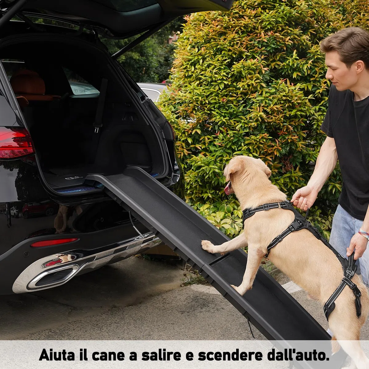 COODEO Imbracatura per Cani, Supporto e Fodera per Passeggio, Gilet di Riabilitazione per Zampe Posteriori, Trasportino per Cani Anziani con Infortuni e Artrite, Aiuto per Salire le Scale. (Nero, XL)