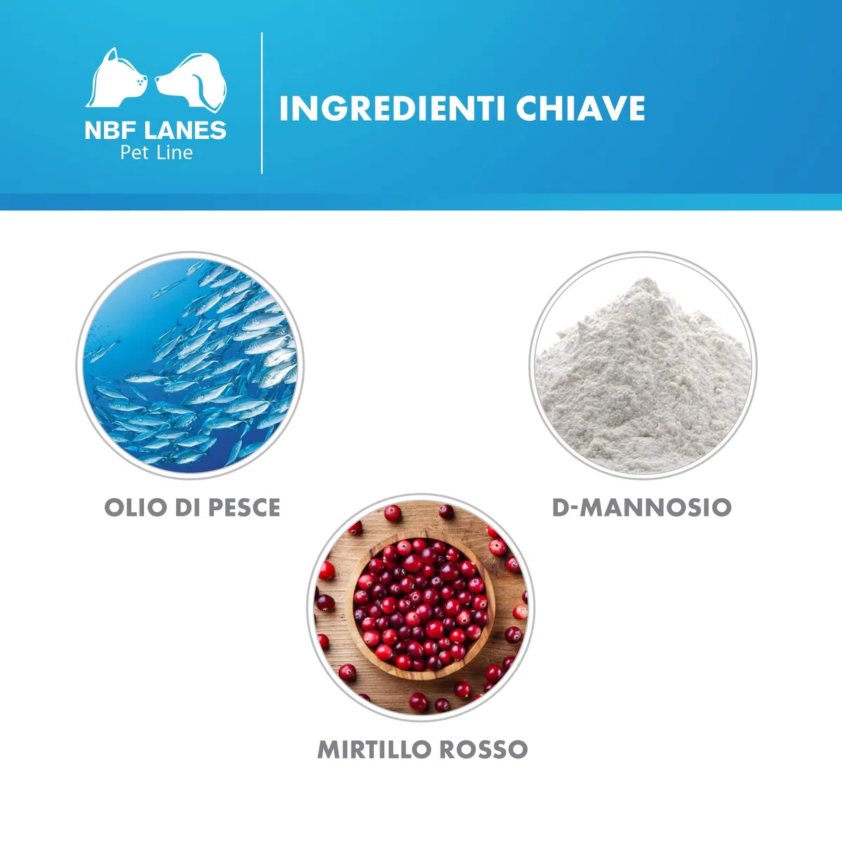 NBF Lanes | Urikrill Cane, Gel Appetibile 30 bustine, per la Normale Funzione delle Basse Vie Urinarie del Cane