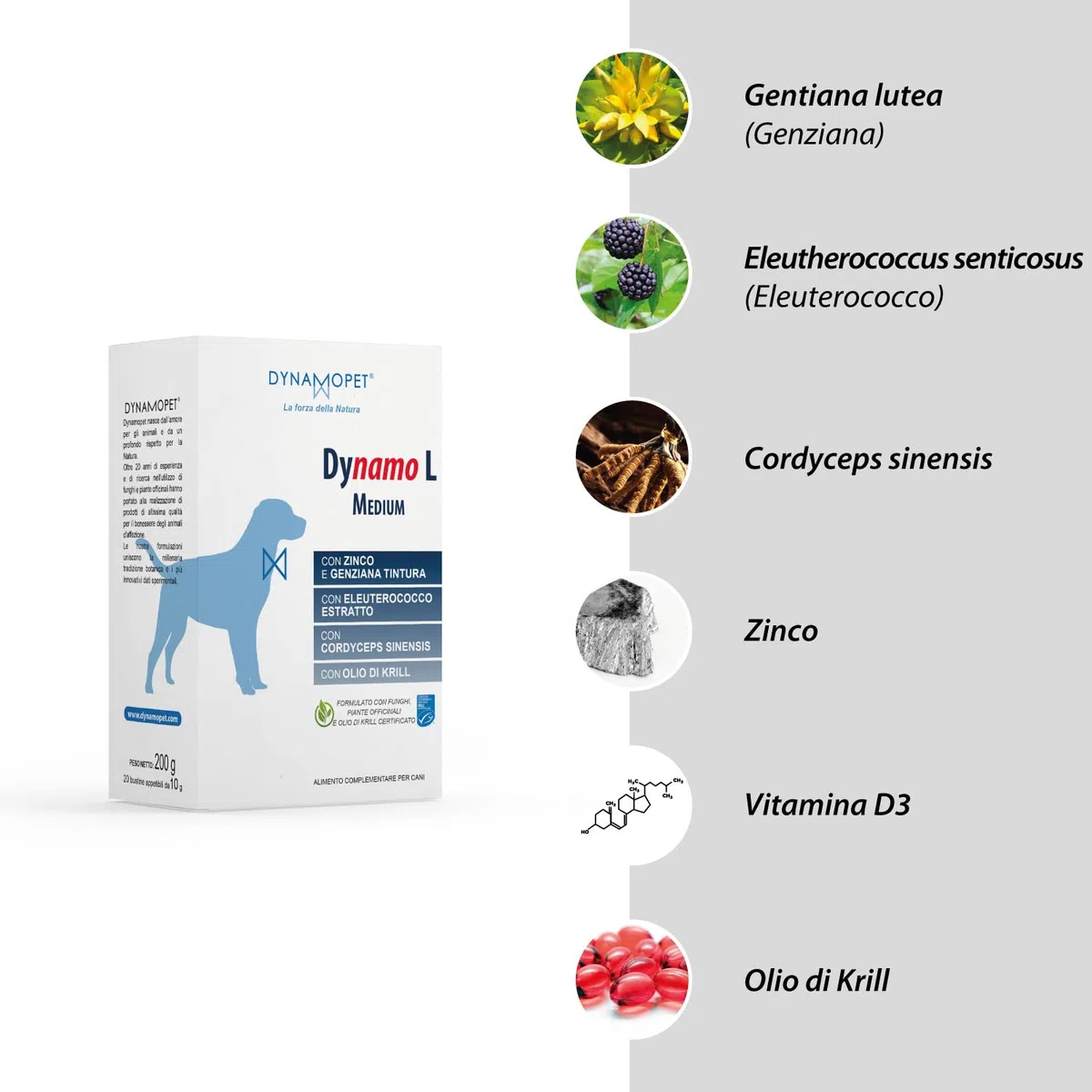 Dynamo L Medium - Alimento Complementare per le Difese dell'Organismo di Cani che vivono in Aree Calde e Umide, 20 Stick da 10 g, uno Stick ogni 20 kg di Peso dell'Animale