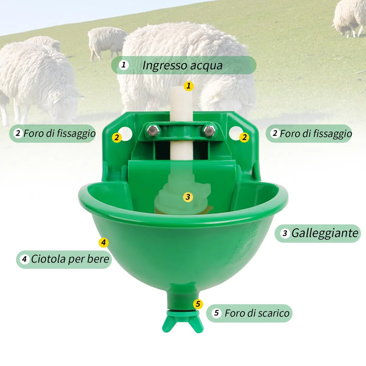 Abbeveratoi Automatici per Pecore, Capre, Cavalli e Mangiatoie per Pascoli di Bestiame con Fori di Drenaggio