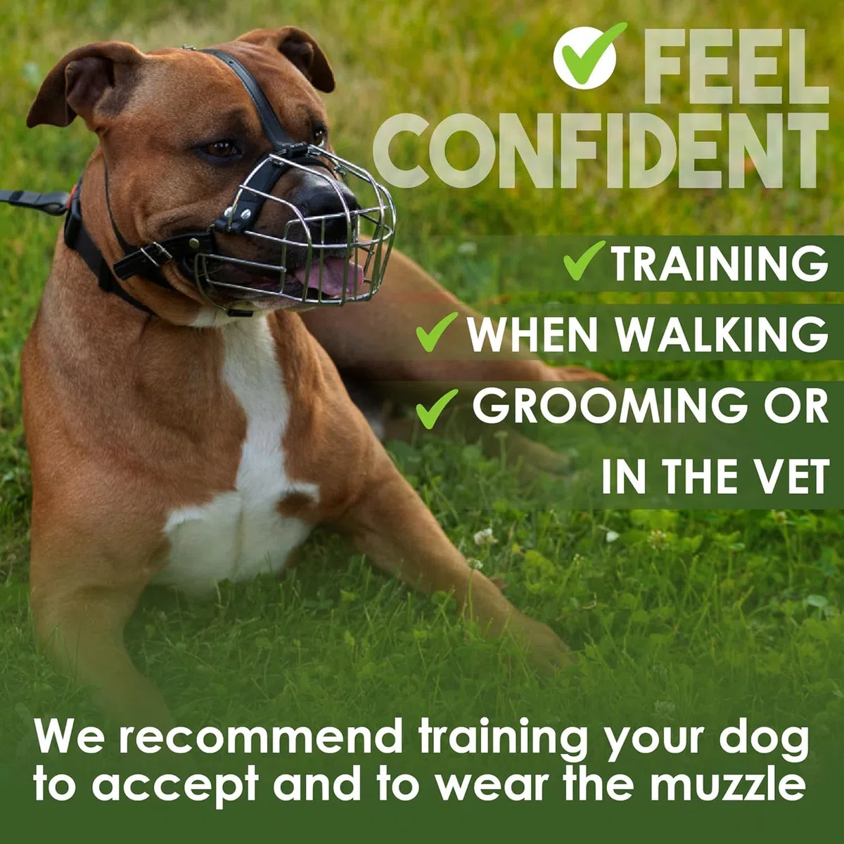 BRONZEDOG Museruola per cani in metallo, maschera per cani di taglia media e grande (taglia 4: Pitbull & Amstaff)