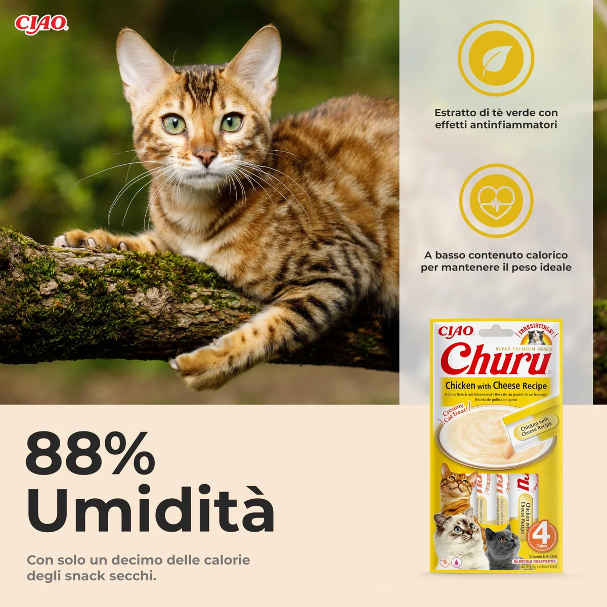 INABA Churu Snack per Gatti Cremoso con Pollo e Formaggio - 12 Pack (48 Stick x 14gr) - Cibo per Gatti da Leccare, Sano e Delizioso - Snack Gatto Senza Conservanti o Coloranti Artificiali, Grain-Free