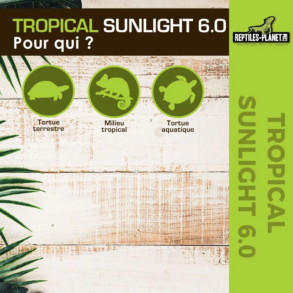 Rettili Planet T5 Tubo UVB 6.0 Tropicale Sunlight Illuminazione per Reptile/amphibien 8 W L 29 cm Diametro 16 mm