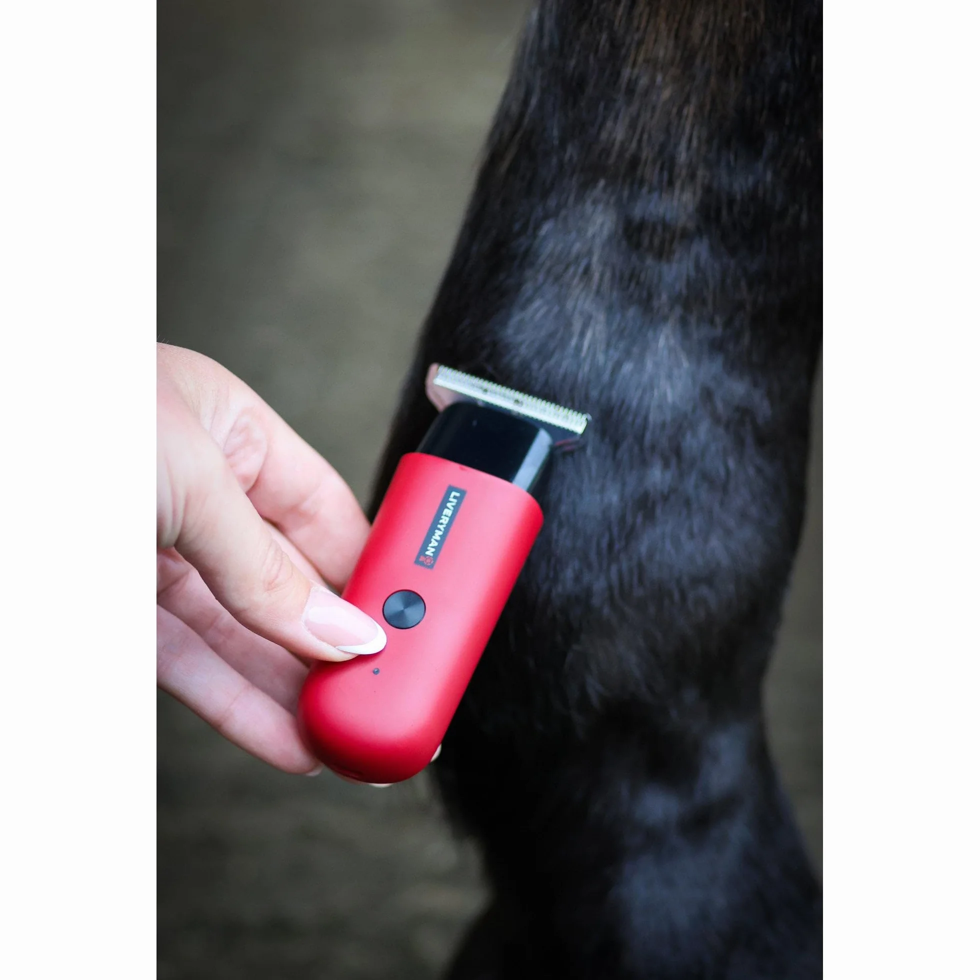 Liveryman Pettirosso Trimmer