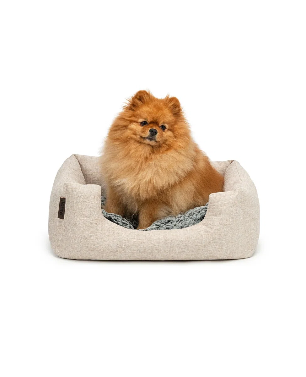lionto Letto per cani (Tessuto melange) con Cuscino da pavimento reversibile Fondo antiscivolo, (S) 60x50 cm Beige