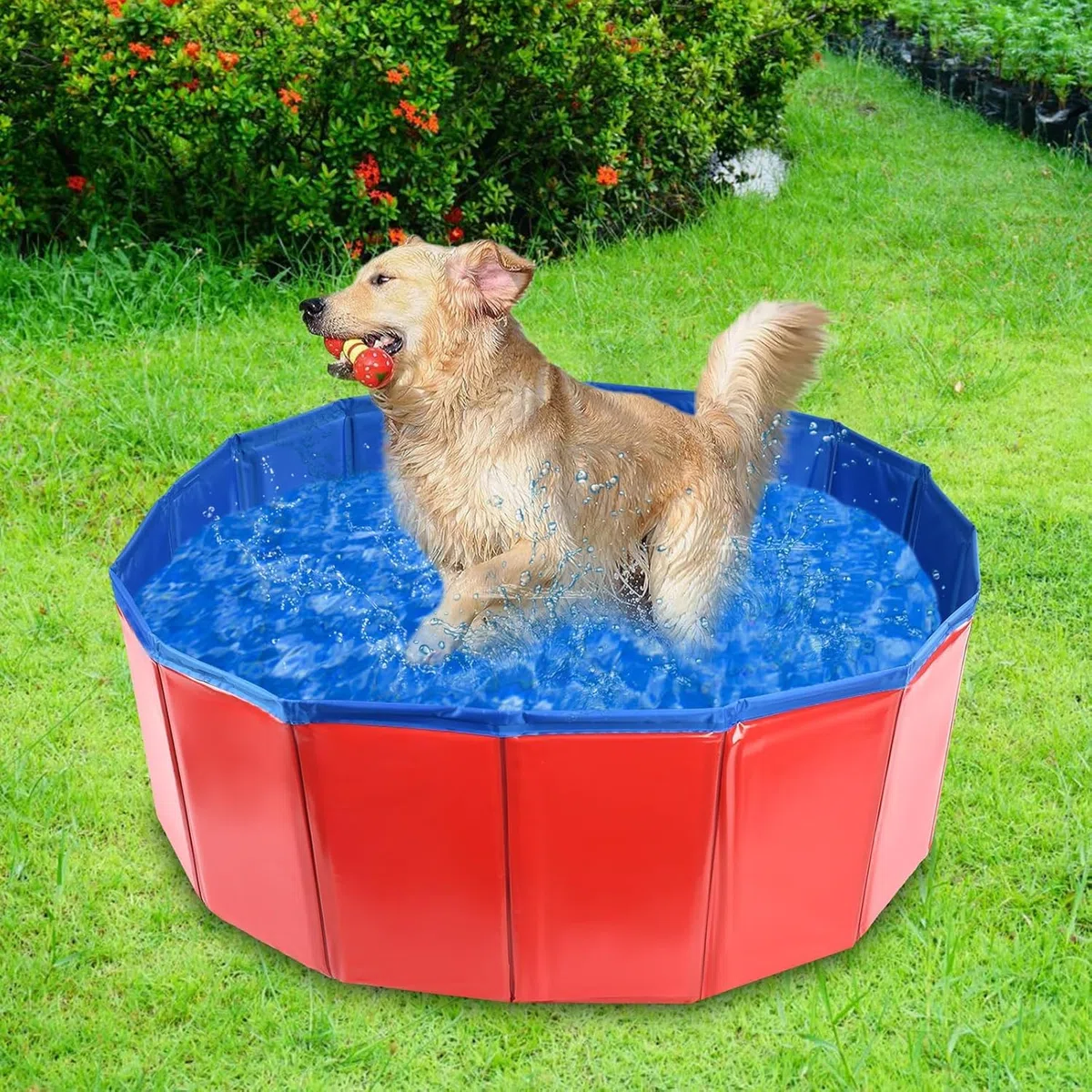 Piscina pieghevole per cani, 60 x 20 cm, vasca da bagno pieghevole per animali domestici, in PVC, antiscivolo, per cani, gatti e bambini, per interni ed esterni