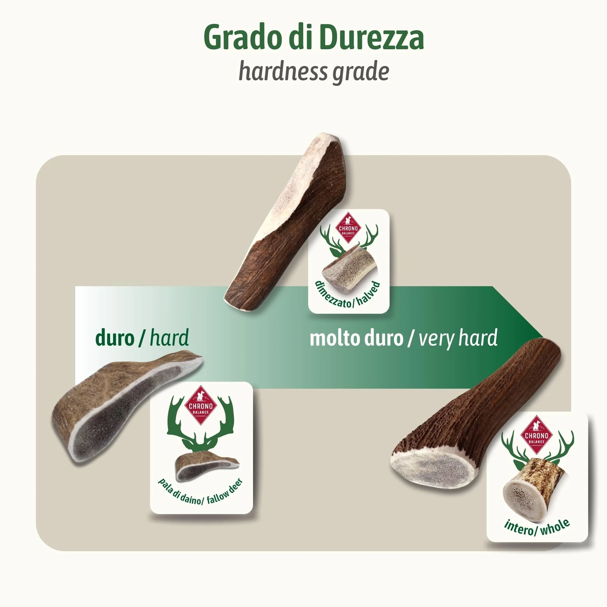 ChronoBalance-XXL Corno di Cervo per Cani, Confezione da 1, 100% Naturale, Pezzi Interi, Cura Dentale, Giocattolo per Cani, Ricco di Minerali e Nutrienti, Lunga Durata