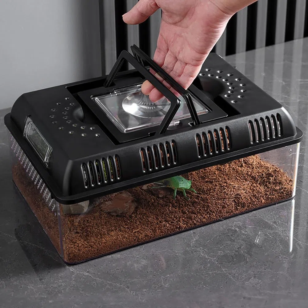 Terrario per Rettili Design Luce Incorporata - Scatola di Alimentazione Portatile Rettile 31,5 x 22 x 12,5 cm - Teca per Rettili - Contenitore Multiuso per Rettili, Anfibi, Topi e Insetti