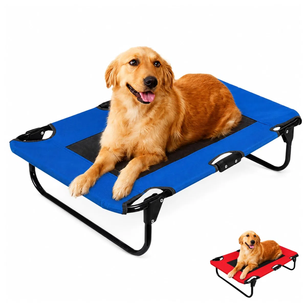 VIRSUS Lettino per Cani Pieghevole 6367, Misura 75x52x17 cm, Brandina in Tessuto con Rete Traspirante, Struttura Tubolare in Metallo Diam.19 mm, Letto per Animali Piccola e Media Taglia (Blu)