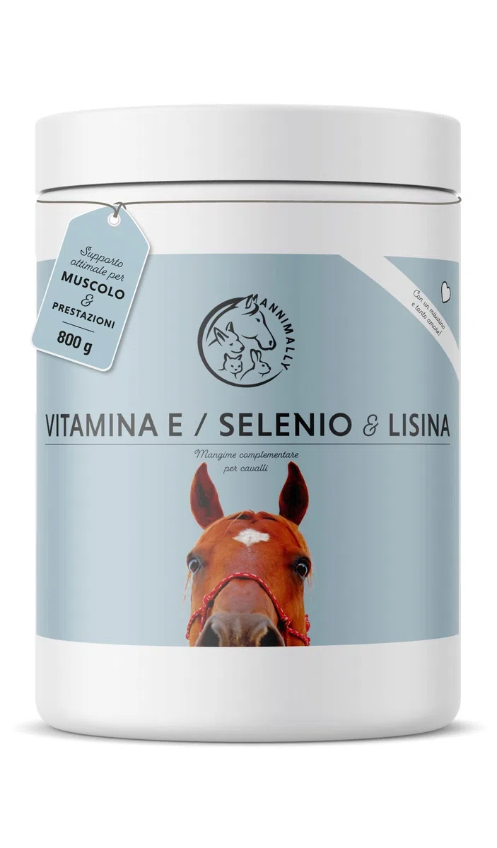 Annimally Selen, Vitamina E, L-Lisina in Polvere per Cavalli 800g - Complesso di Vitamina E, L-Lisina e Selenio per supportare la muscolatura e Le Prestazioni - Integratori per Cavalli